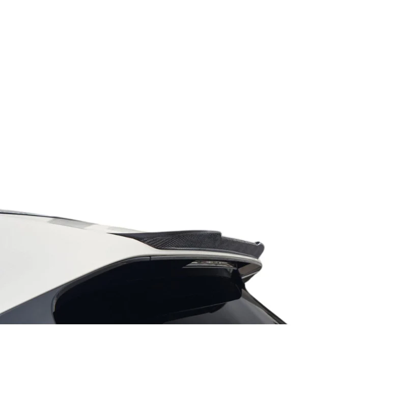 3Ddesign Roof Spoiler BMW IX I20